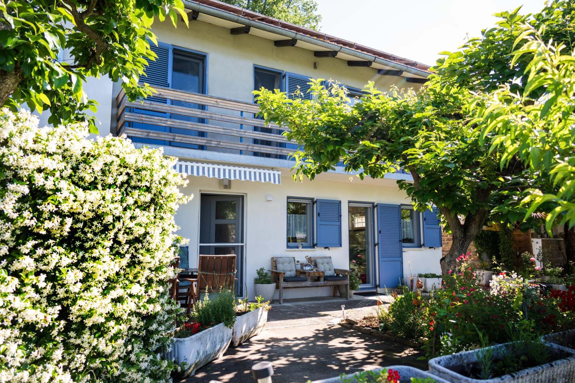 Apartma Salvia-Guest House Lucija Exterior photo